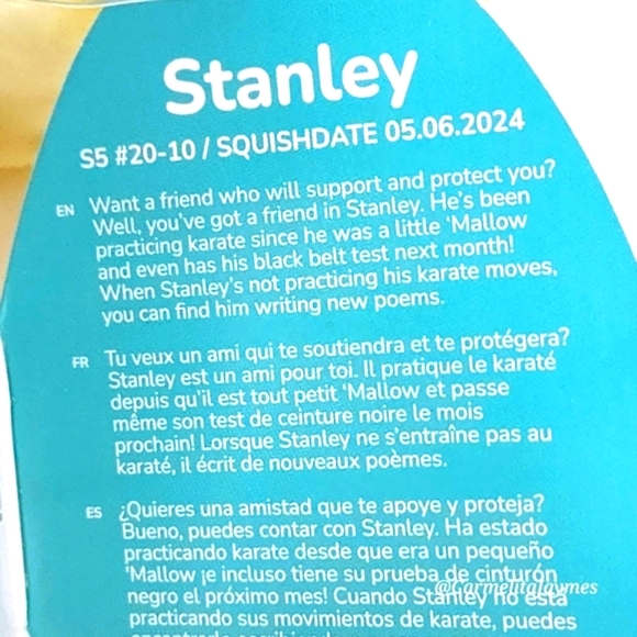 STANLEY 🐼🍌 5" Panda Banana Hybrid Epic Collection Original Squishmallows NWT - Picture 4 of 8